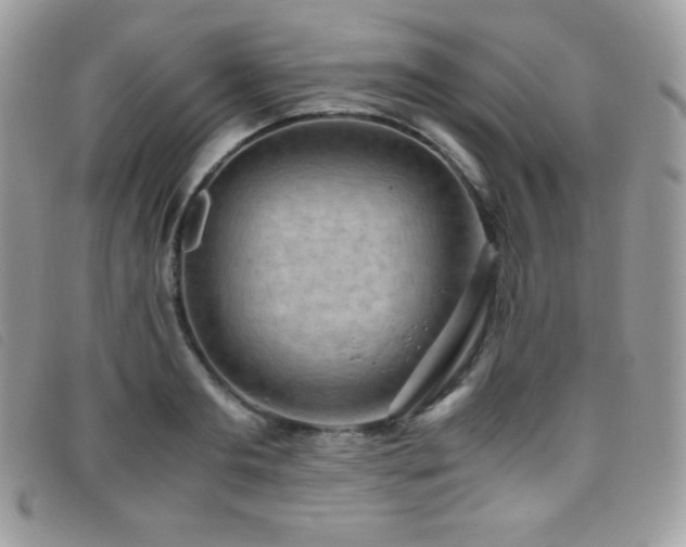 X0000095890893200801111153
