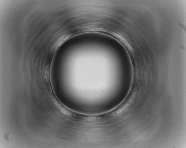 X0000095890897200801111153