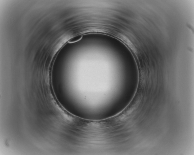 X0000095890898200801111153