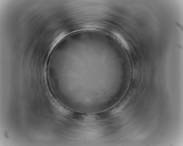X0000095890899200801111153