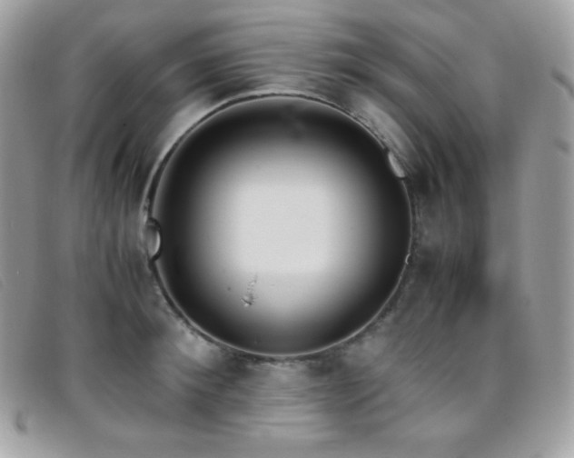 X0000095890900200801111153