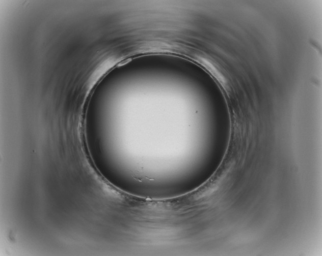 X0000095890901200801111153