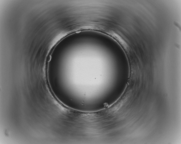 X0000095890902200801111153