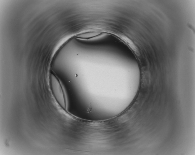 X0000095890904200801111153