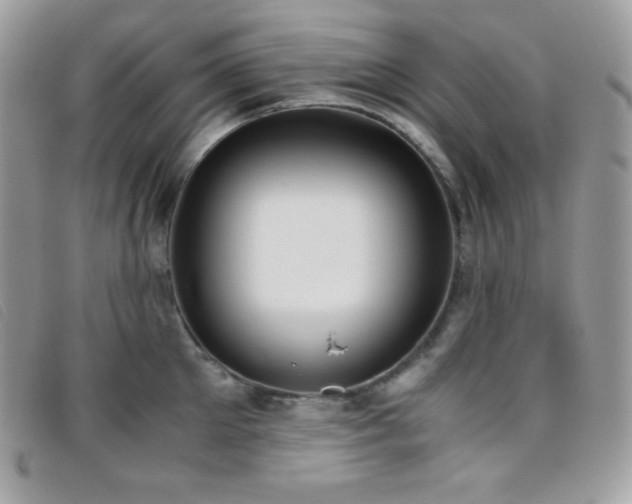 X0000095890905200801111153