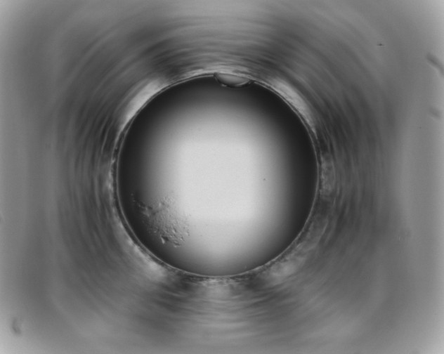 X0000095890906200801111153