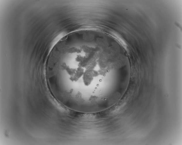X0000095890907200801111153