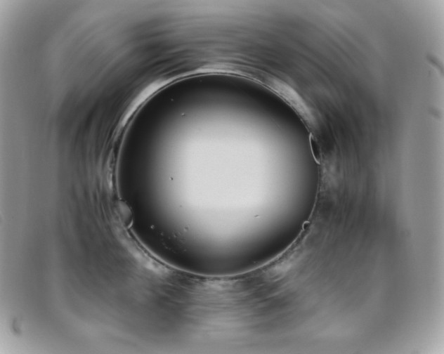 X0000095890908200801111153