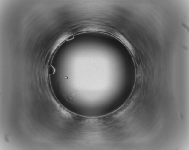 X0000095890909200801111153