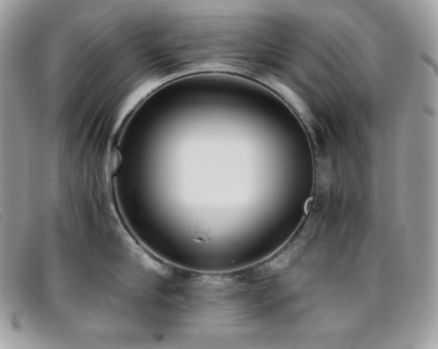 X0000095890910200801111153
