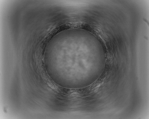 X0000095890913200801111152