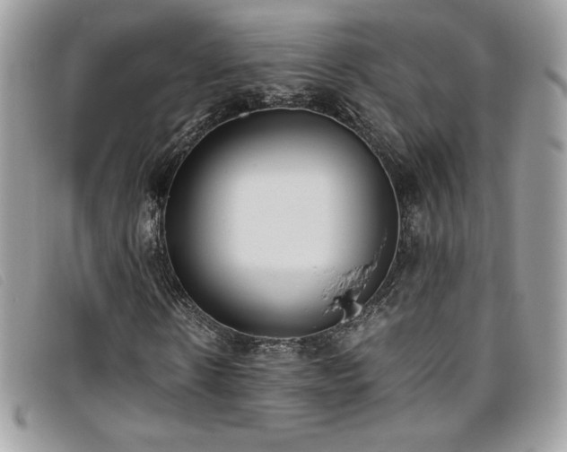 X0000095890914200801111152