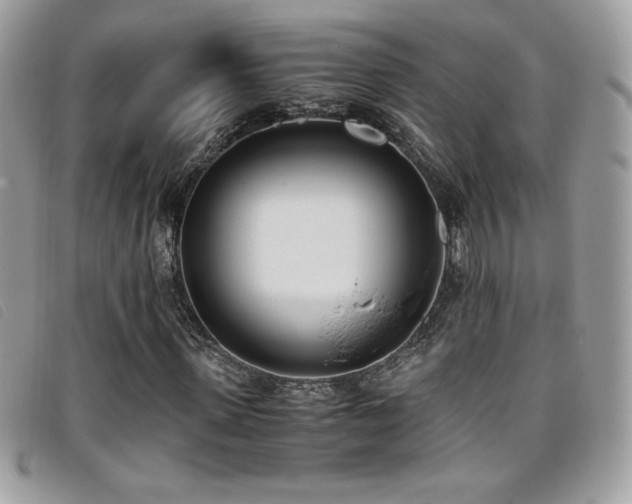 X0000095890915200801111152