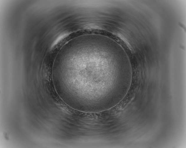 X0000095890919200801111152