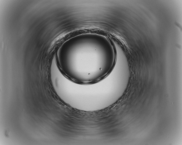X0000095890920200801111152