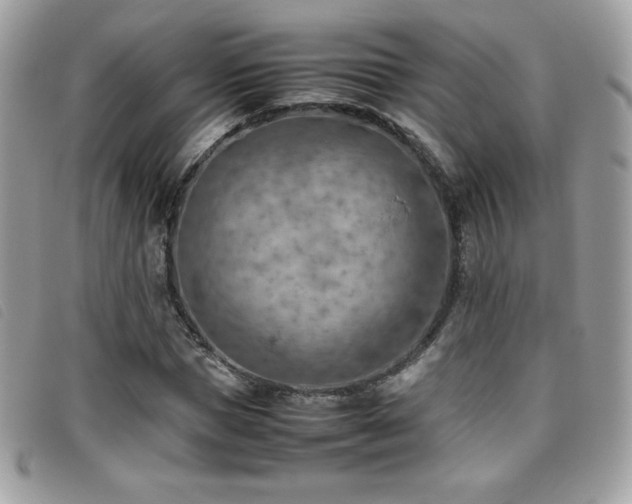 X0000095890921200801111152