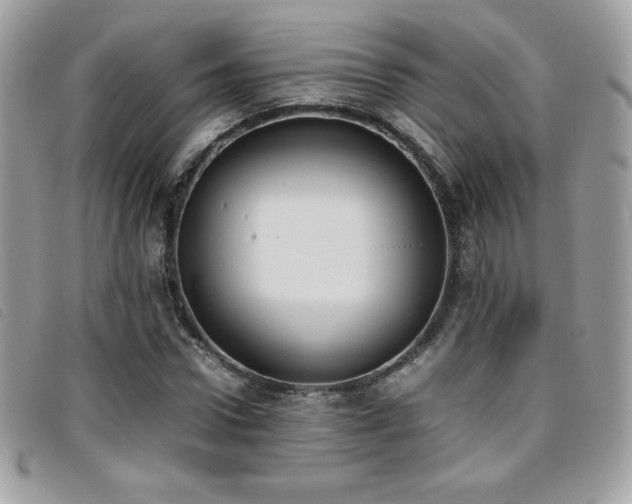 X0000095890922200801111152