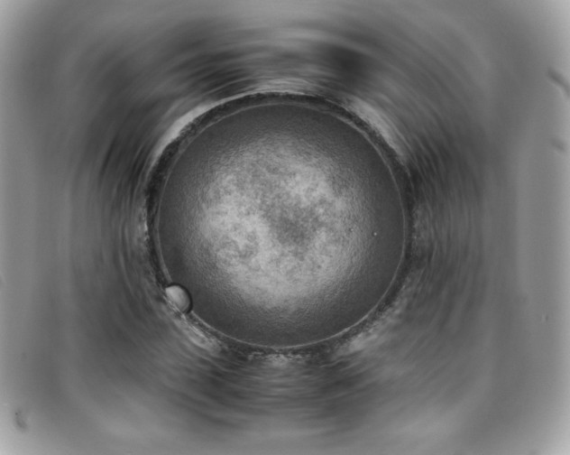 X0000095890923200801111152