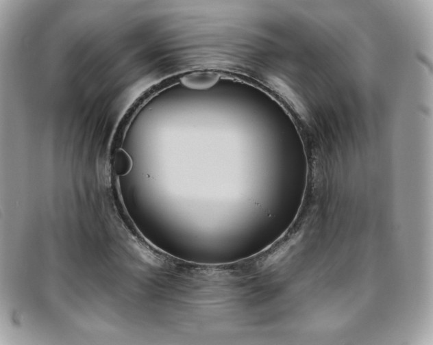 X0000095890924200801111152