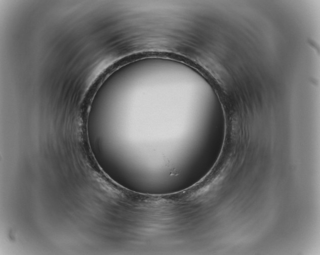 X0000095890926200801111152