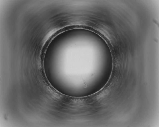 X0000095890927200801111152
