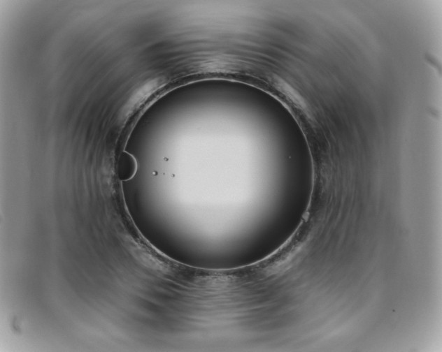 X0000095890930200801111152