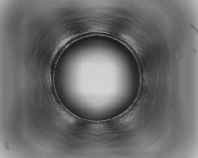 X0000095890931200801111152