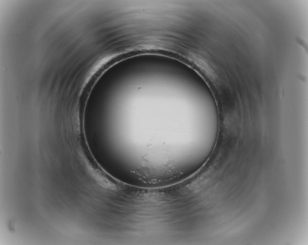 X0000095890934200801111152