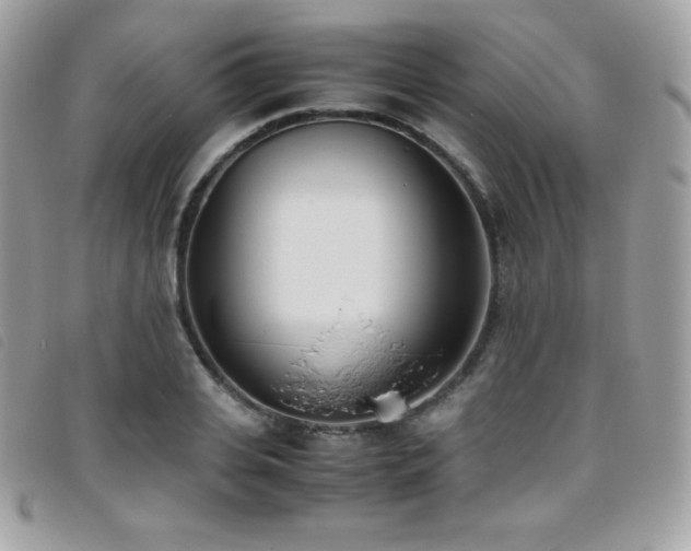 X0000095890935200801111152