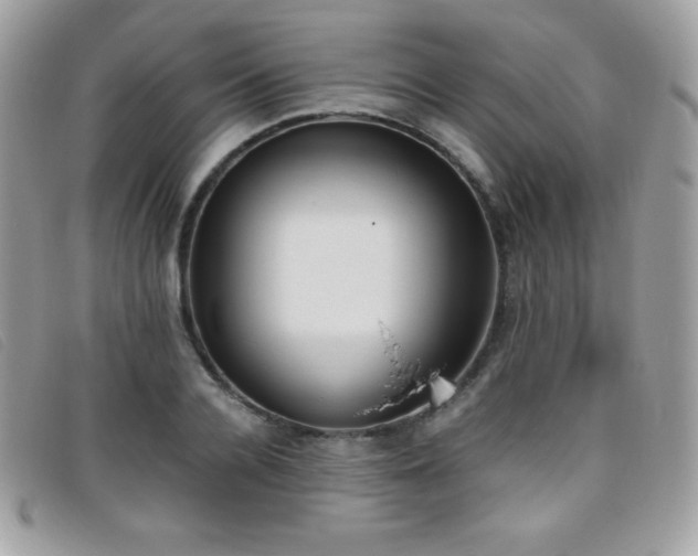 X0000095890936200801111152
