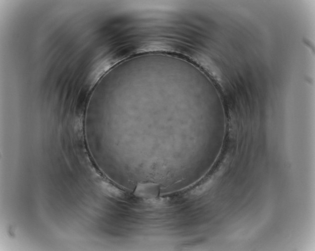 X0000095890937200801111152