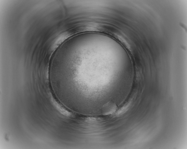 X0000095890938200801111152