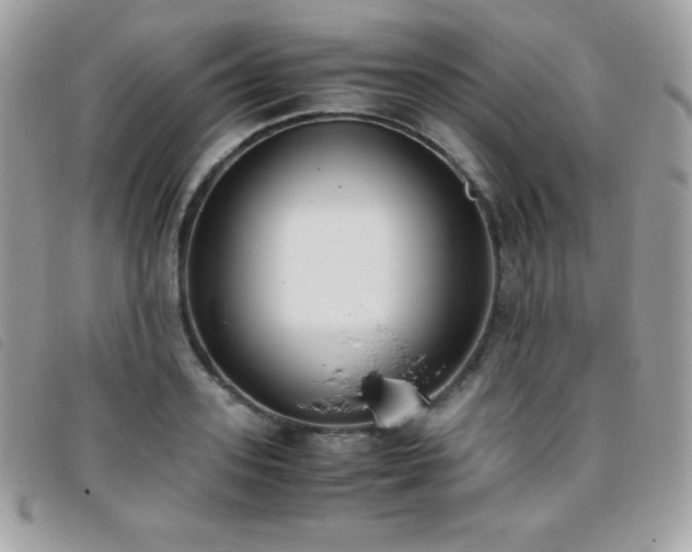 X0000095890939200801111152