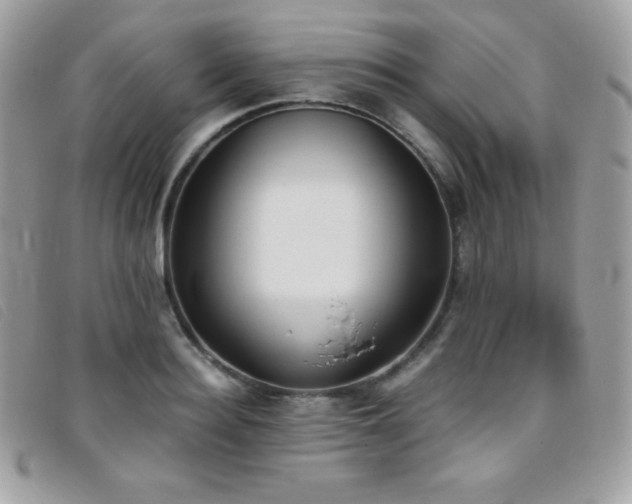 X0000095890940200801111152