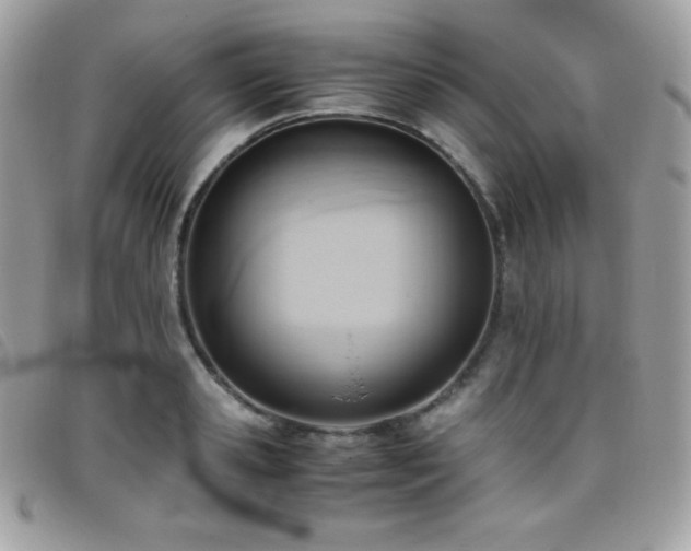 X0000095890941200801111152