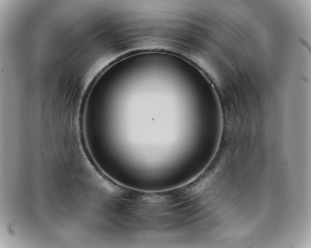 X0000095890943200801111153