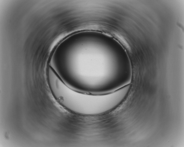 X0000095890944200801111153