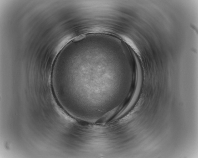 X0000095890946200801111153