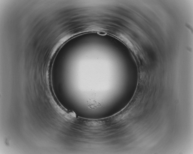 X0000095890947200801111153
