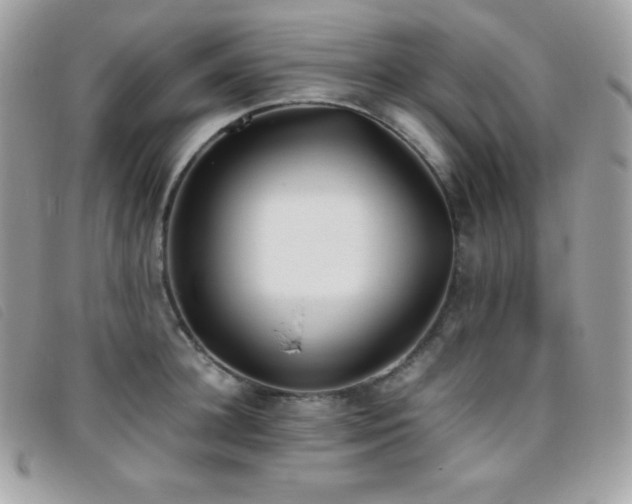 X0000095890948200801111153