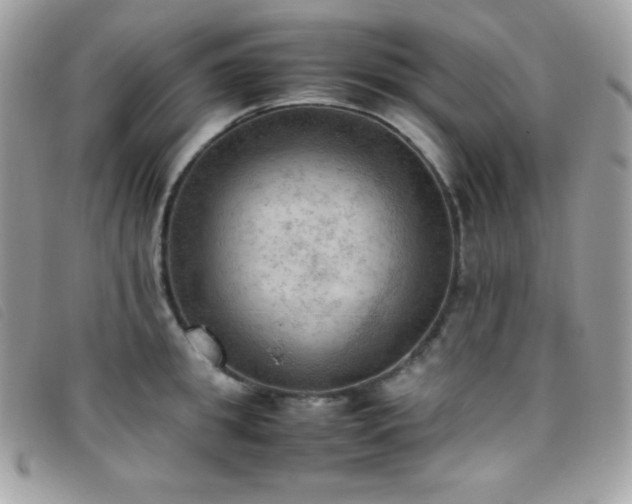 X0000095890949200801111153
