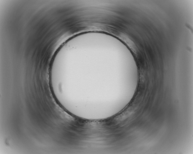 X0000095890950200801111153
