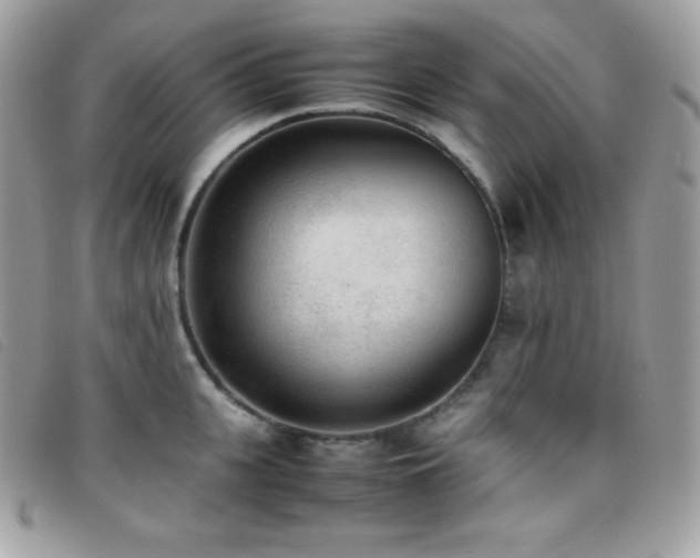 X0000095890951200801111153