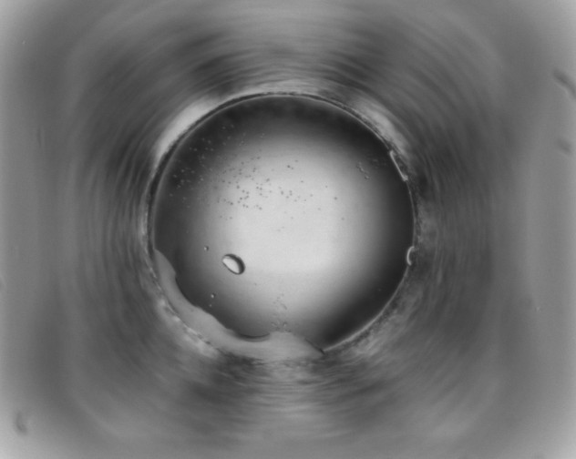 X0000095890952200801111153