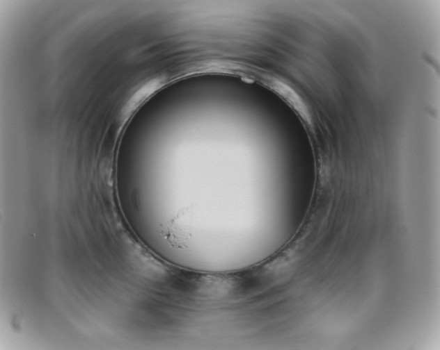 X0000095890954200801111153