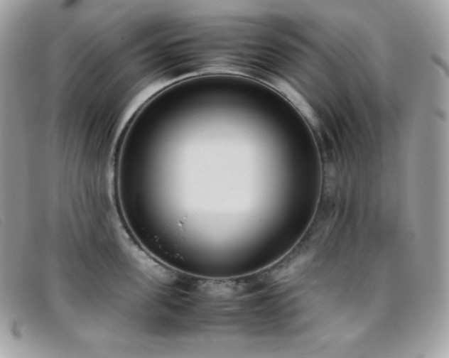 X0000095890955200801111153