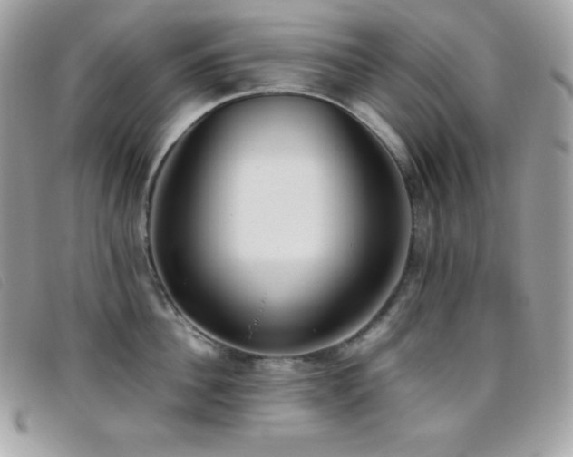 X0000095890956200801111153