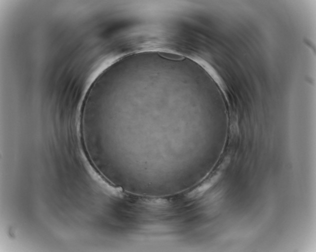 X0000095890957200801111153