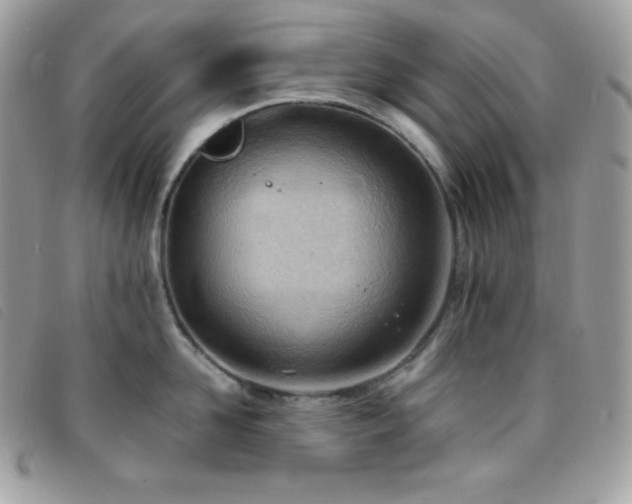 X0000095890958200801111153