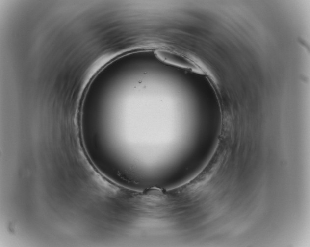 X0000095890959200801111153